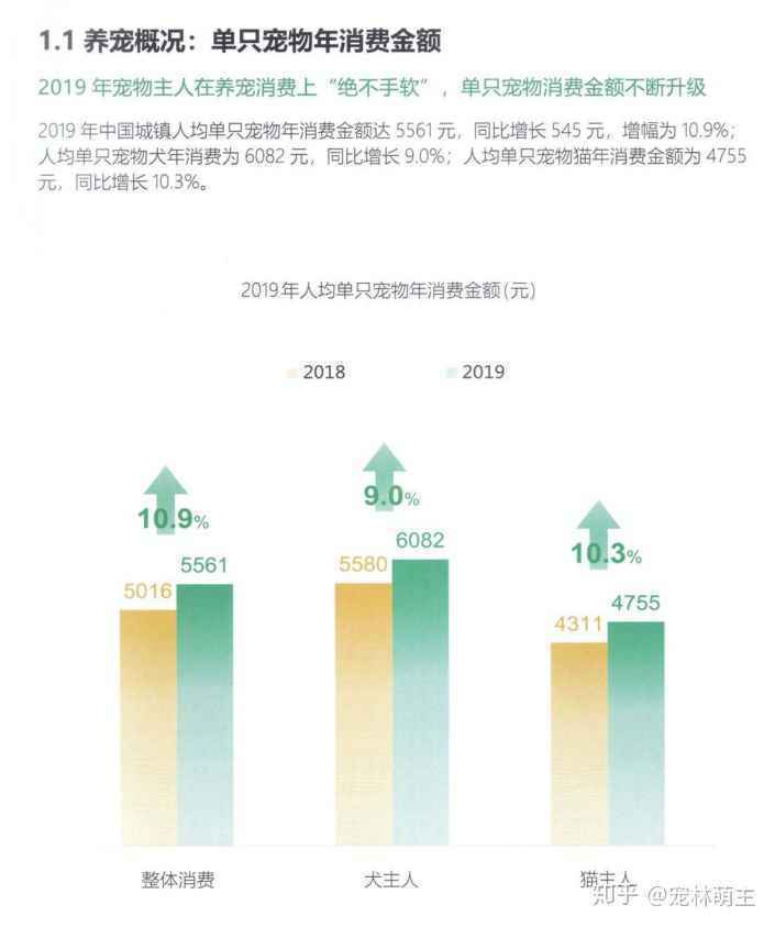 宠物行业发展现状分析：宠物app是新的红海吗？