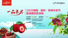 “一品东方”2020湖南·靖州·杨梅丰收节暨消费扶贫活动成功举行