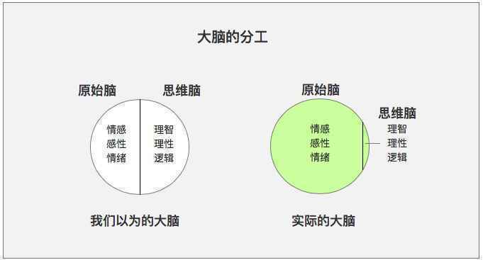  PM认知升级：大脑认知与决策机制