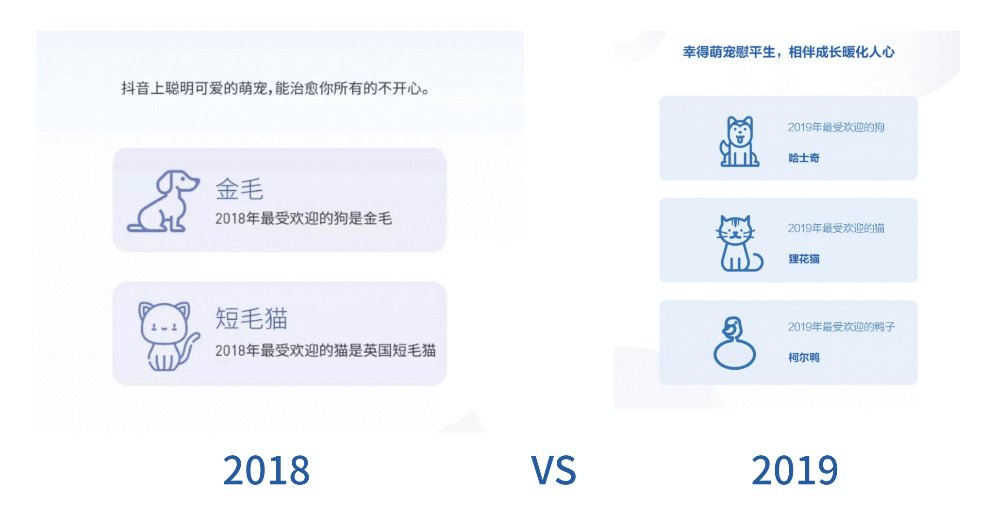  2019年抖音数据报告的分析探究