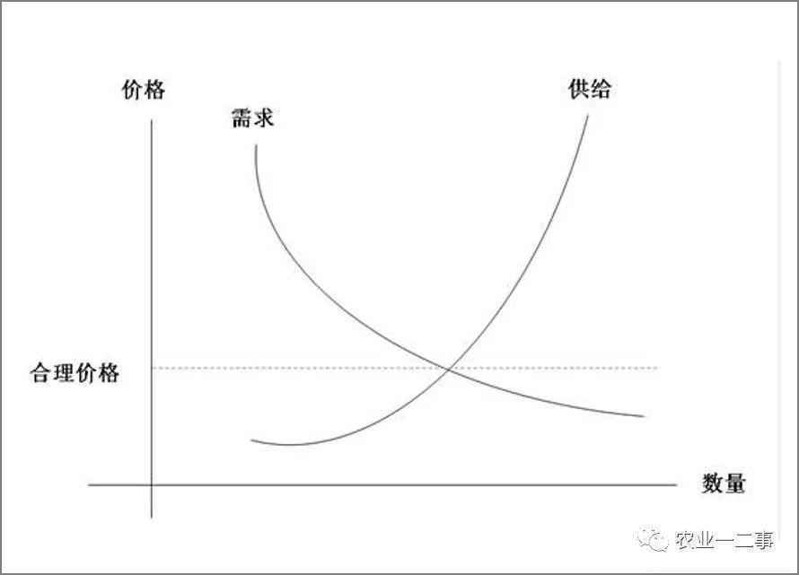  社区团购的原罪：违背经济学原理