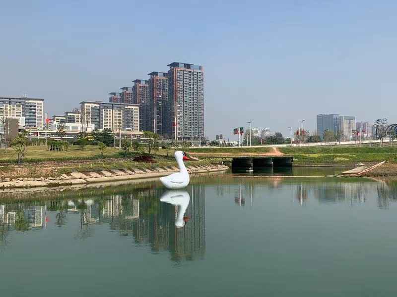 跑起来！一起打卡南山区“幸福的绿色跑道”