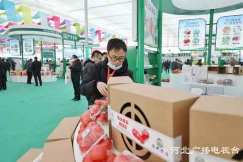 第五届京津冀蔬菜食用菌产销对接暨北方冬季设施蔬菜大会在饶阳召开