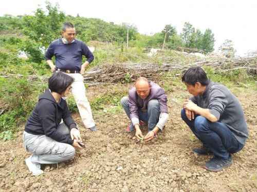 中国人寿1集体1个人分别荣获中央和国家机关三八红旗集体和三八红旗手