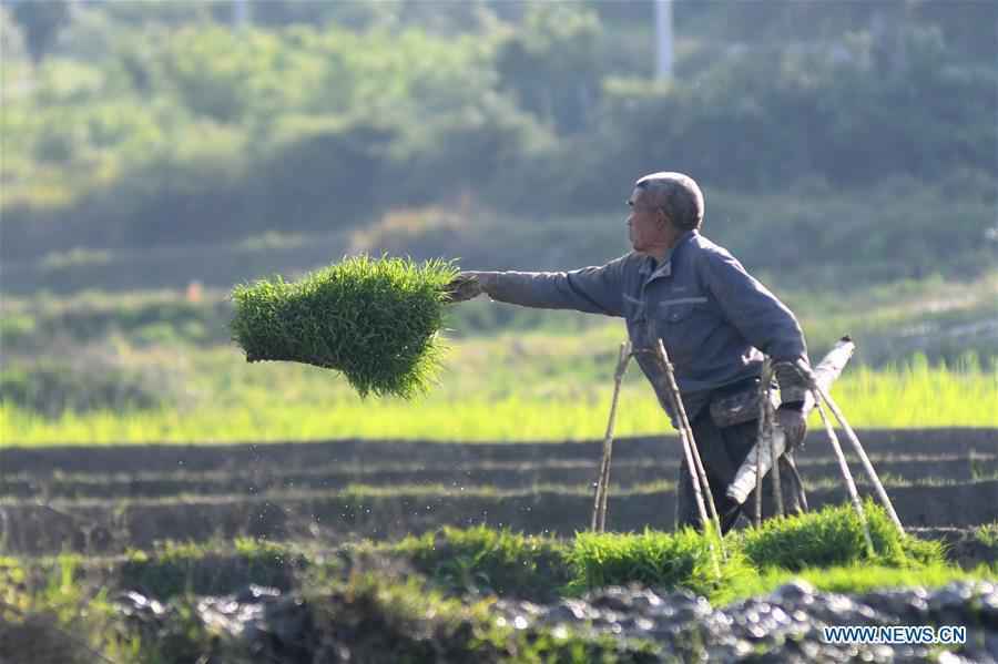 ＃中国-湖南-娄底农场（CN）