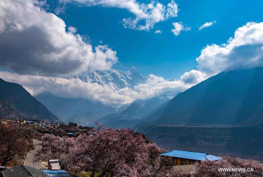 西藏西藏雅鲁藏布江春风景区（CN）