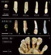 一项6年前发表的研究遭多次反转，终极解决办法“只有重复实验