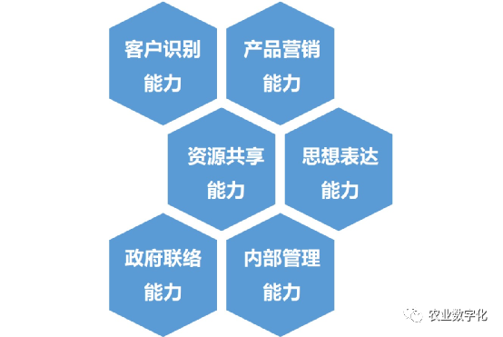  农业蓝海农业者能力模型，提升数字化水平